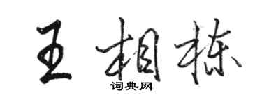 駱恆光王相棟行書個性簽名怎么寫