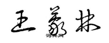 曾慶福王蒙林草書個性簽名怎么寫