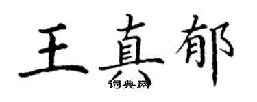 丁謙王真郁楷書個性簽名怎么寫