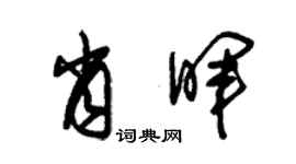 朱錫榮肖暉草書個性簽名怎么寫