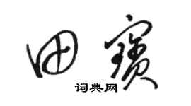 駱恆光田寶草書個性簽名怎么寫