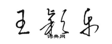 駱恆光王穎樂草書個性簽名怎么寫