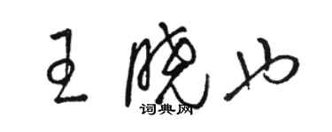 駱恆光王曉也草書個性簽名怎么寫