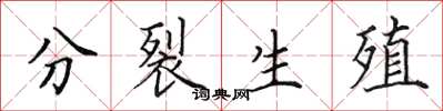 田英章分裂生殖楷書怎么寫