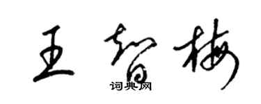 梁錦英王智梅草書個性簽名怎么寫