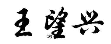 胡問遂王望興行書個性簽名怎么寫