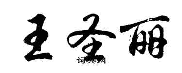 胡問遂王聖麗行書個性簽名怎么寫