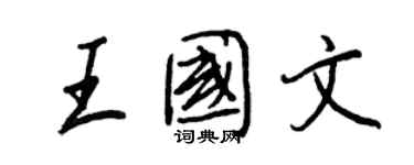 王正良王國文行書個性簽名怎么寫