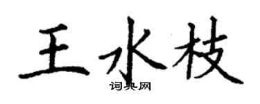丁謙王水枝楷書個性簽名怎么寫