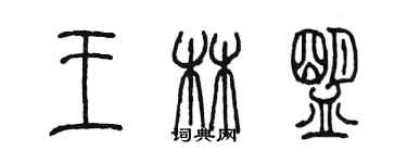 陳墨王林盟篆書個性簽名怎么寫