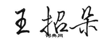 駱恆光王招朵行書個性簽名怎么寫