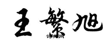 胡問遂王繁旭行書個性簽名怎么寫