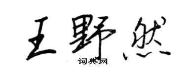 王正良王野然行書個性簽名怎么寫