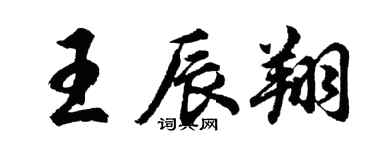 胡問遂王辰翔行書個性簽名怎么寫