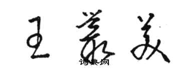 駱恆光王叢美草書個性簽名怎么寫