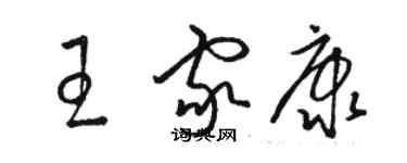 駱恆光王家康草書個性簽名怎么寫