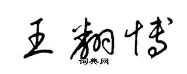 梁錦英王翻博草書個性簽名怎么寫