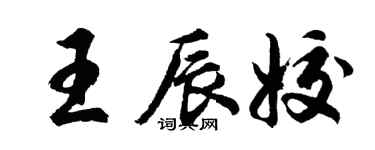 胡問遂王辰姣行書個性簽名怎么寫
