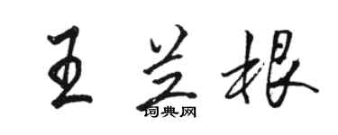 駱恆光王蘭根行書個性簽名怎么寫