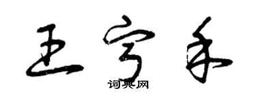 曾慶福王寧禾草書個性簽名怎么寫