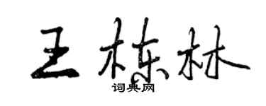 曾慶福王棟林行書個性簽名怎么寫