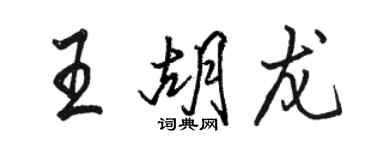 駱恆光王胡龍行書個性簽名怎么寫
