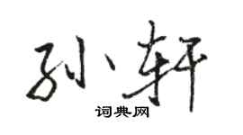 駱恆光孫軒行書個性簽名怎么寫