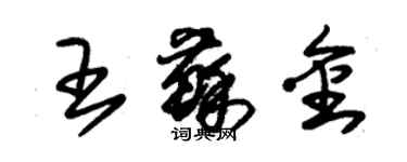 朱錫榮王蘇金草書個性簽名怎么寫