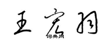 梁錦英王宏羽草書個性簽名怎么寫