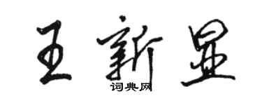 駱恆光王新顯行書個性簽名怎么寫