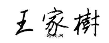 王正良王家樹行書個性簽名怎么寫