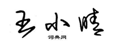 朱錫榮王小晴草書個性簽名怎么寫