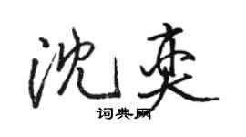 駱恆光沈奕行書個性簽名怎么寫