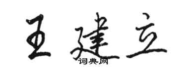 駱恆光王建立行書個性簽名怎么寫