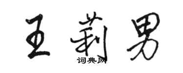 駱恆光王莉男行書個性簽名怎么寫