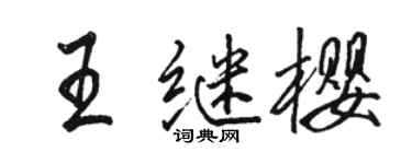 駱恆光王繼櫻行書個性簽名怎么寫