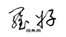 梁錦英羅好草書個性簽名怎么寫