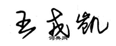 朱錫榮王戎凱草書個性簽名怎么寫