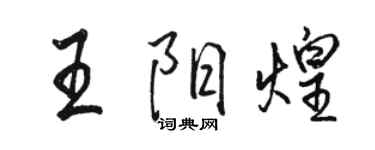 駱恆光王陽煌行書個性簽名怎么寫