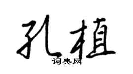 王正良孔植行書個性簽名怎么寫