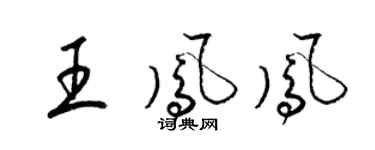 梁錦英王鳳鳳草書個性簽名怎么寫