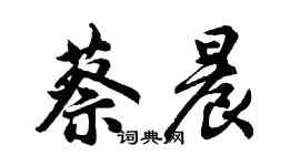 胡問遂蔡晨行書個性簽名怎么寫