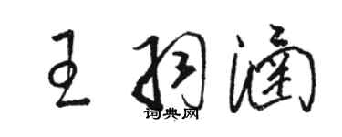 駱恆光王羽涵草書個性簽名怎么寫