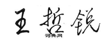 駱恆光王哲銳行書個性簽名怎么寫