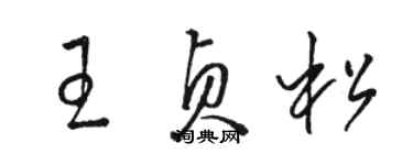 駱恆光王貞松草書個性簽名怎么寫