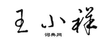 駱恆光王小祥草書個性簽名怎么寫