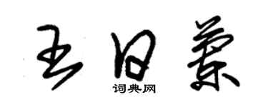 朱錫榮王日蘭草書個性簽名怎么寫