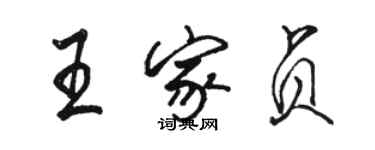 駱恆光王家貞行書個性簽名怎么寫