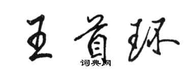 駱恆光王首環行書個性簽名怎么寫