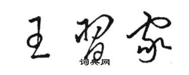 駱恆光王習家草書個性簽名怎么寫